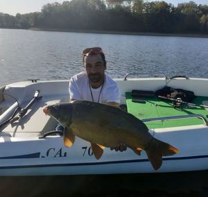Mirror Carp