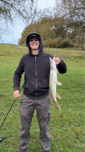 Northern Pike