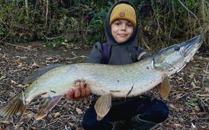 Northern Pike