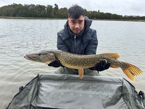 Northern Pike