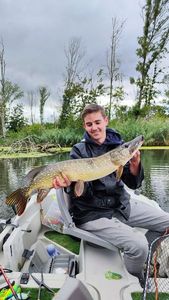 Northern Pike