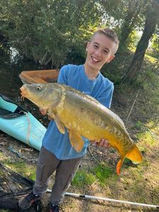 Mirror Carp