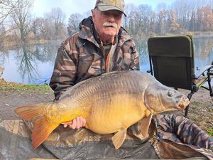 Mirror Carp