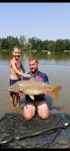 Common Carp