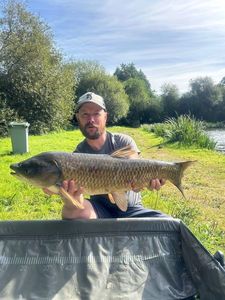 Grass Carp