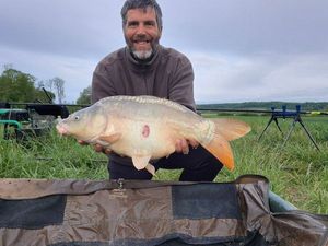 Mirror Carp