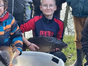 Mirror Carp