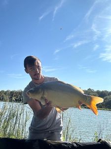 Mirror Carp