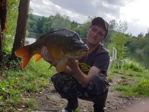Mirror Carp