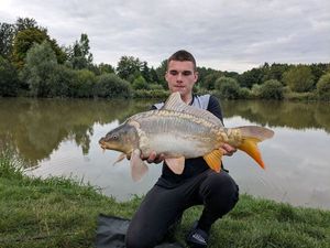Mirror Carp