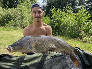 Common Carp