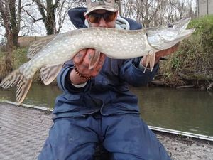 Northern Pike