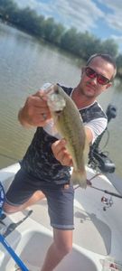 Largemouth Bass