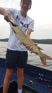 Northern Pike