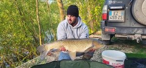 Grass Carp