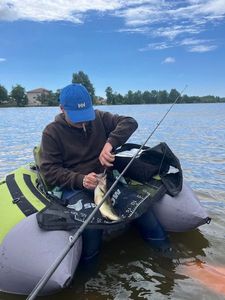 Largemouth Bass