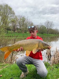Common Carp