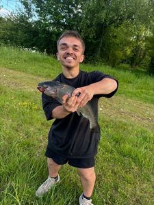 Lake Trout