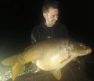 Mirror Carp