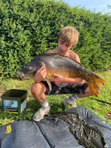 Mirror Carp