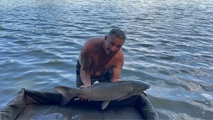 Grass Carp