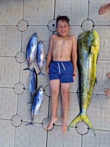 Dolphinfish
