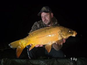 Mirror Carp