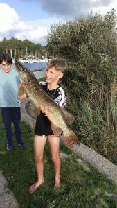 Northern Pike