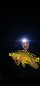 Leather Carp