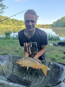 Mirror Carp