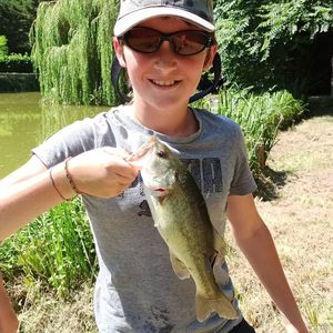 Smallmouth Bass