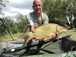 Common Carp