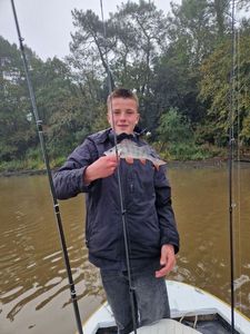 European Perch