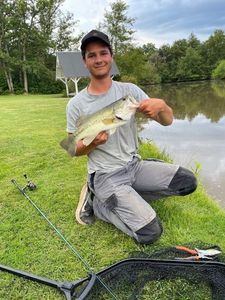 Largemouth Bass