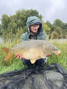 Mirror Carp