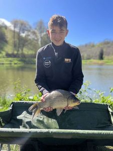 Crucian Carp