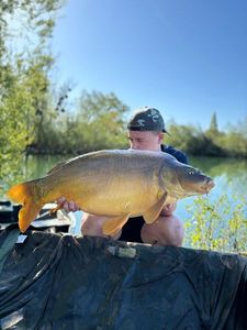 Leather Carp