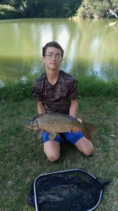Common Carp
