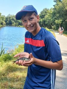 European Perch