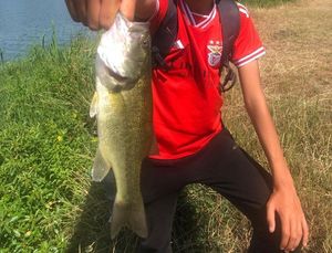 Achigan à Petite Bouche (Black-Bass)