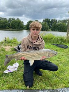 Grass Carp