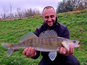 Zander