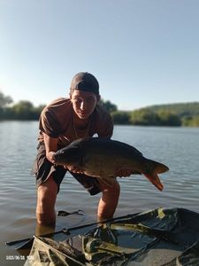 Mirror Carp