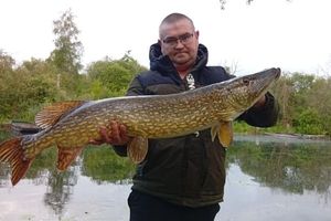 Northern Pike