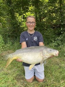 Mirror Carp