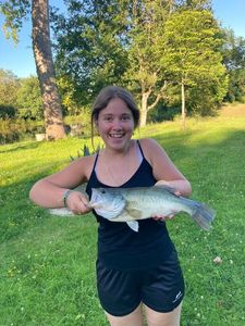 Largemouth Bass