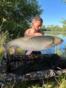 Grass Carp