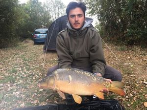 Mirror Carp