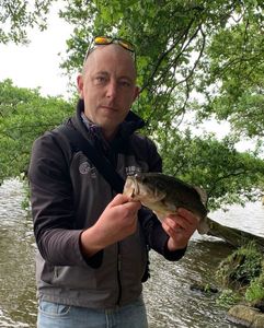 Largemouth Bass