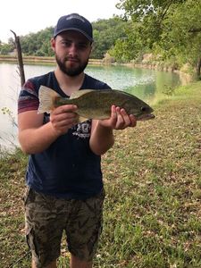 Largemouth Bass